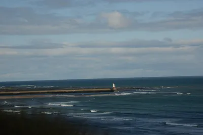 DSC_7227 (Large).JPG